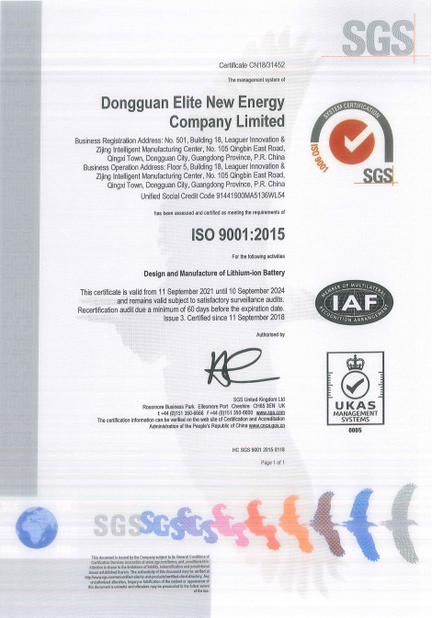 Cina Shenzhen Elite New Energy Co., Ltd. Sertifikasi